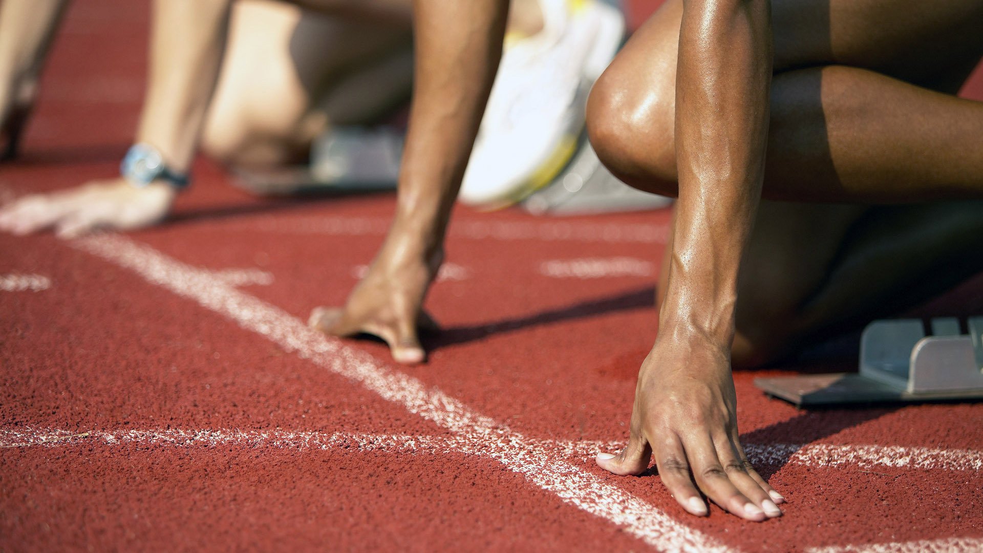 开云在线直播-墨西哥马术协会引入智能马鞍系统，实现实时数据监测与分析，提升骑乘体验。