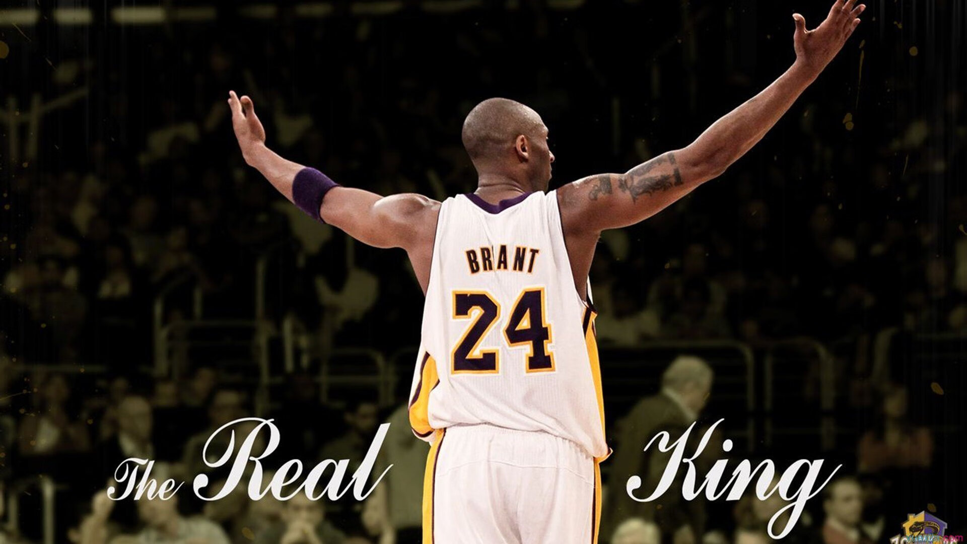 _全民运动日：开启健康生活新篇章_，全民健康运动活动方案