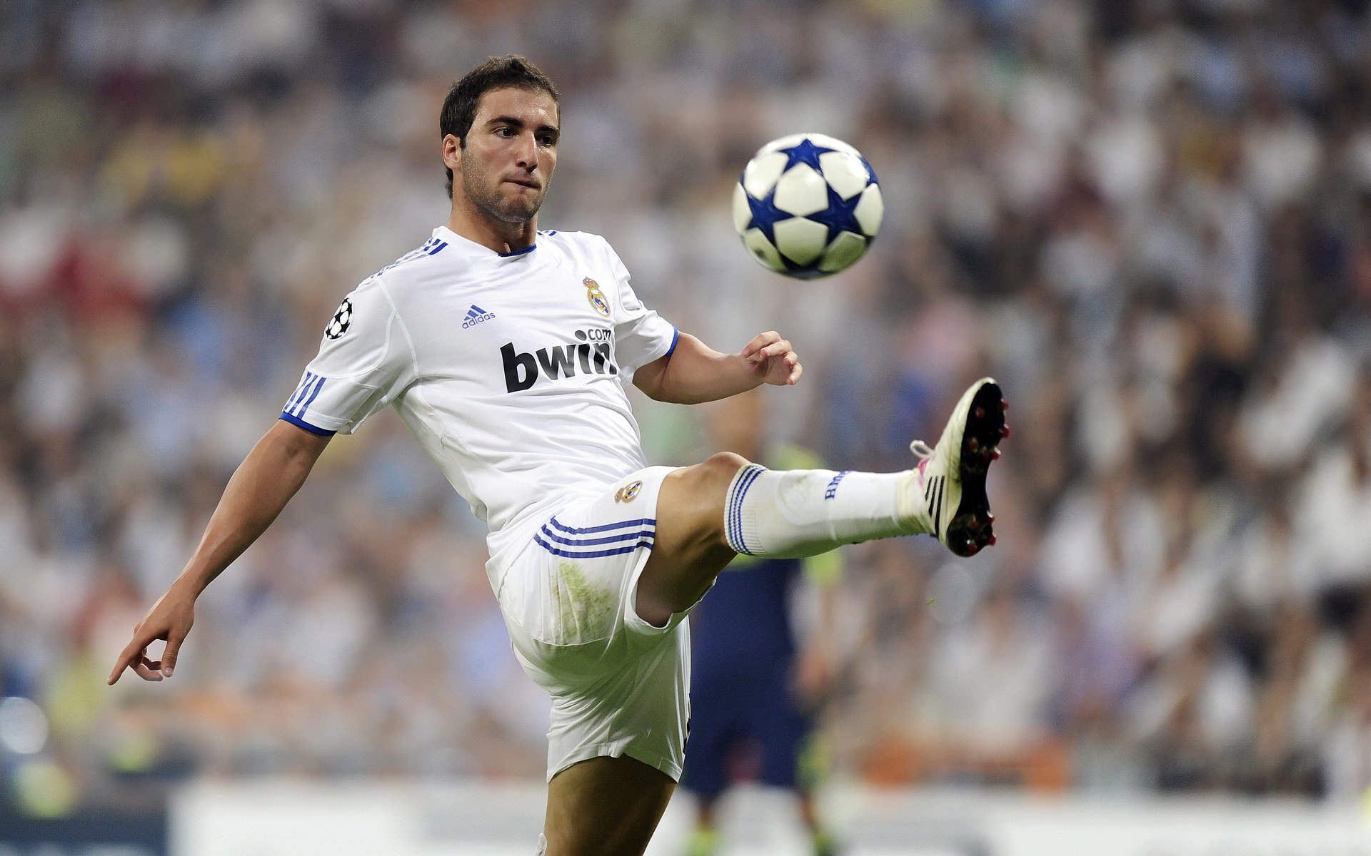 “未来之星全国青少年足球大赛火爆进行，精彩纷呈”，未来之星全国青少年艺术展演